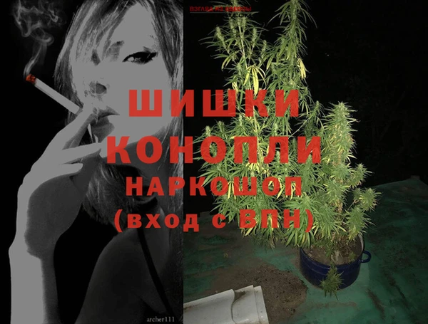 соль ск Алзамай