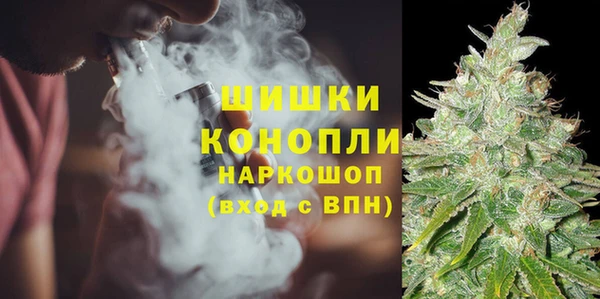 прущие грибы Алексин
