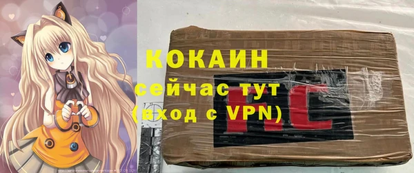 ПСИЛОЦИБИНОВЫЕ ГРИБЫ Алексеевка